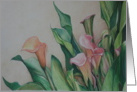 Calla Lily Thinking of You card