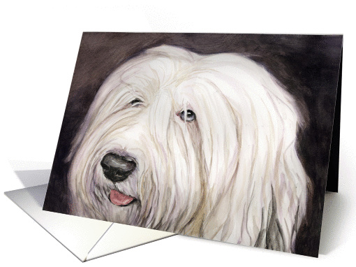 Old English Sheepdog Birthday card (900228)