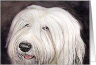 Old English Sheepdog Birthday Card