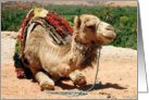 Camel animal card, Bon Voyage! card