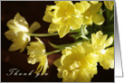 Thank you Flowers, yellow tulips photography card