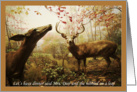 Dinner Invitation Deer in Autumn Woods, photography card