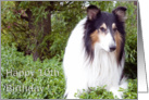 Happy 10th Birthday - Collie Dog card