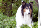 Happy 9th Birthday - Collie Dog card