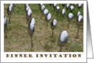 Dinner party invitation - lawn with spoons photography card