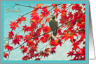 Happy Birthday born in October, birthday month bird red autumn leaves photography card