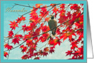 Happy Birthday born in November, bird in red autumn leaves photography card