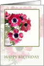 Happy Birthday, bouquet red flowers photography card