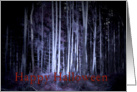 Happy Halloween, freaky scary woods at night, photography card