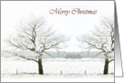 Merry Christmas, trees in snowy landscape, photography card