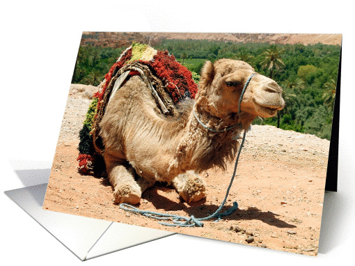 Camel animal card, Bon Voyage! card (1372242)