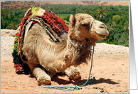 Camel animal card, Bon Voyage! card