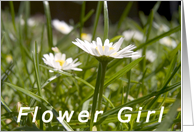 Flower Girl card