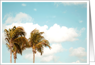 Palm Trees card