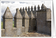 Castle card