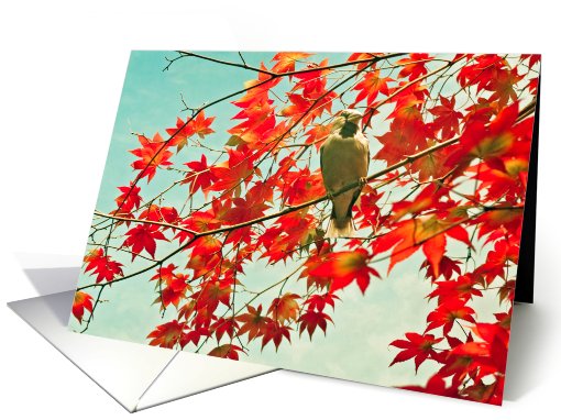 Goodbye Bird in red tree card (708956)