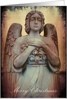 Seasons Greeting Merry Christmas angel, photography card