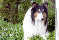 Happy 9th Birthday - Collie Dog card