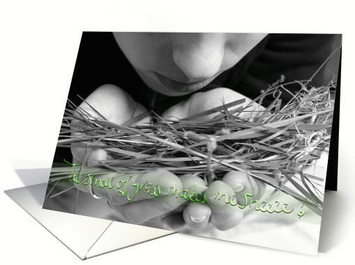 Summer - the smell of grass makes me sneeze photography card (846307)