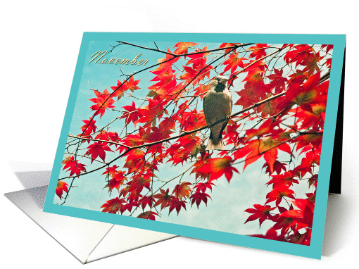 Happy Birthday born in November, bird in red autumn leaves... (847011)