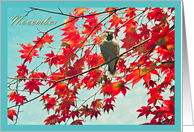 Happy Birthday born in November, bird in red autumn leaves photography card