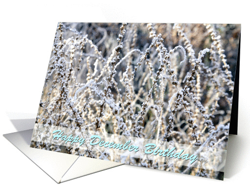 Happy December Birthday, winter landscape frost on plants,... (847807)