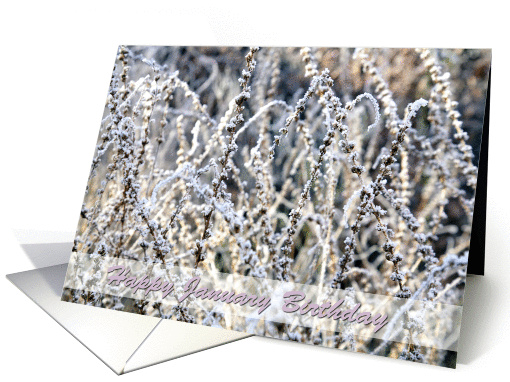 Happy January Birthday, winter landscape frost on plants,... (847809)