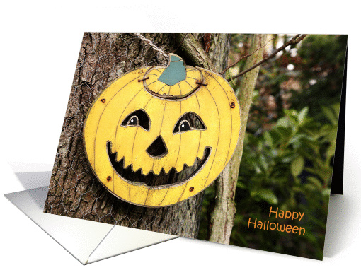 Orange Halloween pumpkin, happy holiday, photography card (851728)