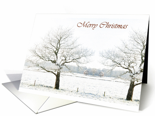 Merry Christmas, trees in snowy landscape, photography card (853235)