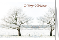 Merry Christmas, trees in snowy landscape, photography card