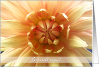 Get well soon, close up orange Dahlia flower photography card