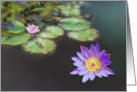 Luminous Waterlilies card