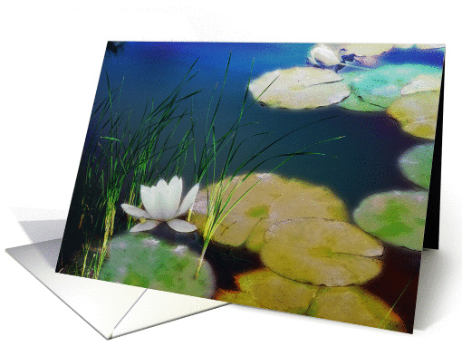 Digital abstract waterlily scene card (1461558)