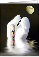 Graceful Swan Dance card
