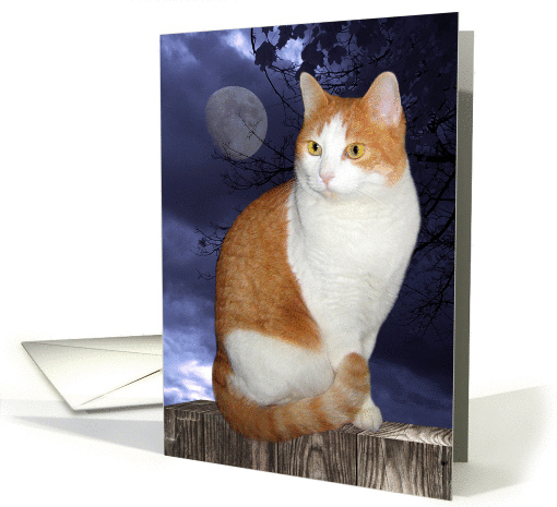 Miss Purrfect card (362107)