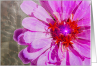 Petals to the Metal card