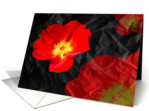 Crumpled Roses card (370710)