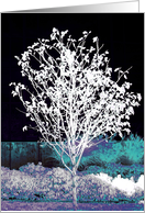 Silhouetted Tree card