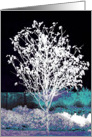 Silhouetted Tree card