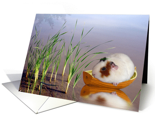 Guinea Pig In The Reeds card (374713)