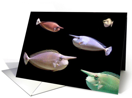 Nosin' Around card (383547)