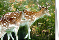 Two Deer card