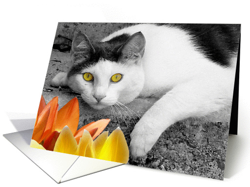 Pretty Eyed Kitty card (384250)