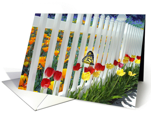 Beyond the Fence card (384276)