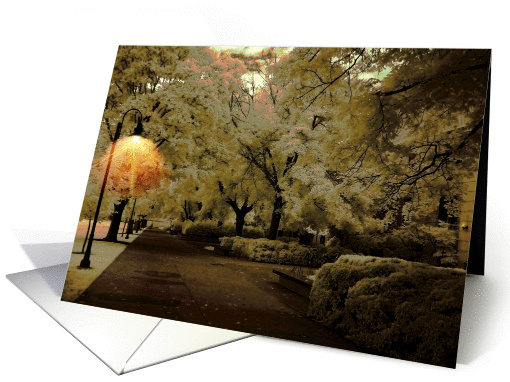Amber Lit Walkway card (384278)