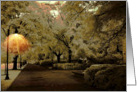Amber Lit Walkway card