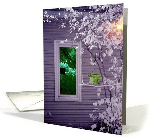 The Bird Feeder card (384280)