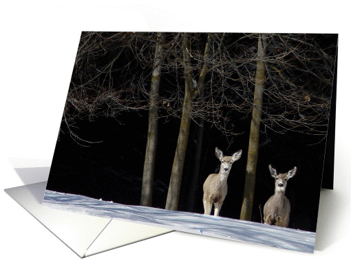 Lovely Discovery card (390128)