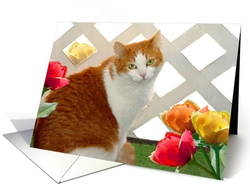 Miss Pretty (Horizontal) card (404531)