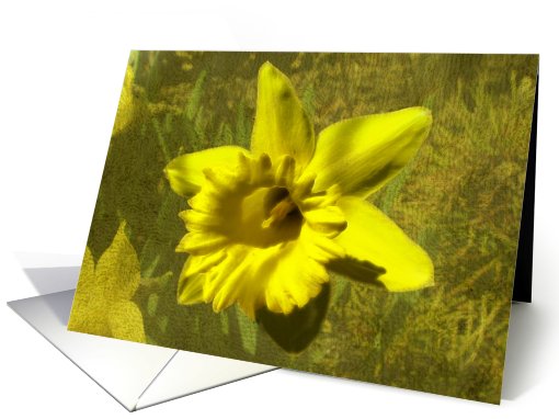 Sunny Gold card (407540)